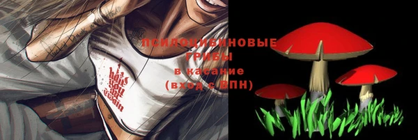 дурь Нягань