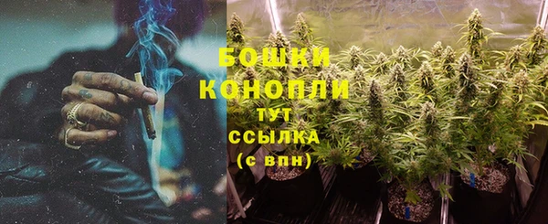 трава Болотное