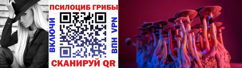 Галлюциногенные грибы Cubensis  наркотики  Юрьевец 